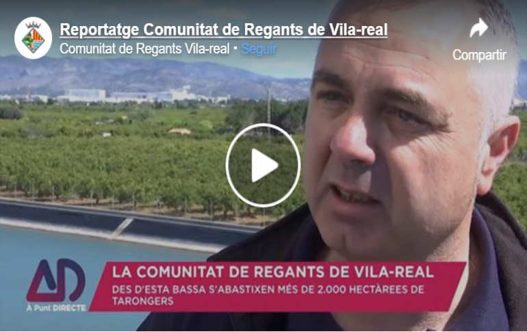 Reportaje de la Comunidad de Regantes de Vila-real en Àpunt
